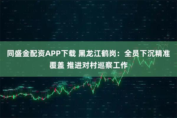 同盛金配资APP下载 黑龙江鹤岗：全员下沉精准覆盖 推进对村巡察工作